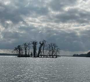 Plöner See