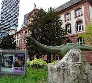 Naturkundemuseum Senckenberg