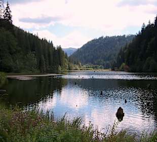 In der Nähe: Lacul Rosu ( Roter See )