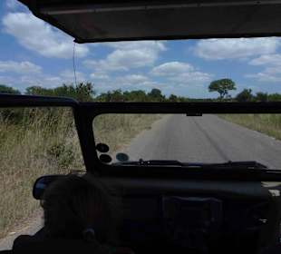 Krüger Nationalpark