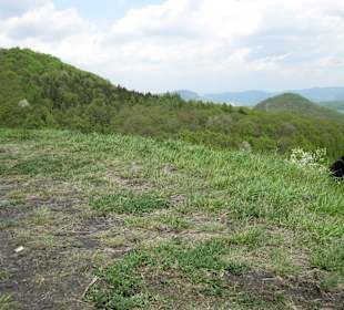 Boreč najdete mezi obcemi Sutom a Režný Újezd