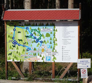 Plan des Baumwipfelpfades Heide Himmel