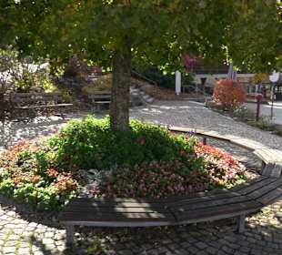 Stadtrundgang Schluchsee