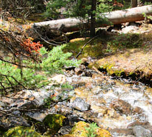 ...und man ist oft ganz alleine