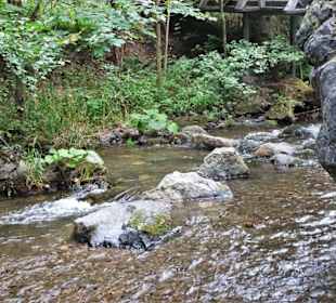 Wanderung durch die Steinachklamm