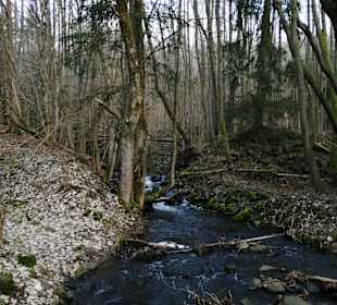 Wandern Rhön