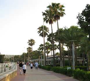 Strandpromenade von Sa Coma