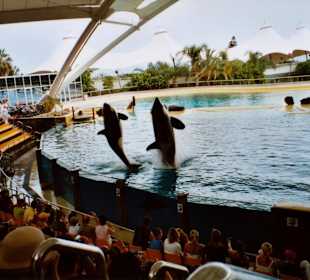 Walshow Loro Parque