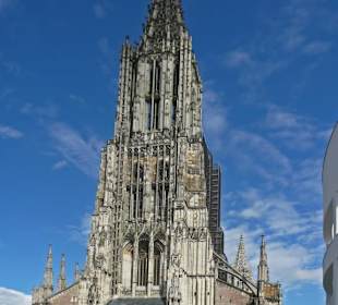 Münster