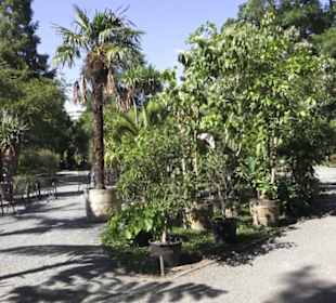 Botanischer Garten