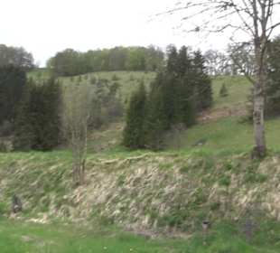 Premiumwanderweg Hochgebürzelt