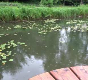 Forellenbächle Glacis Park