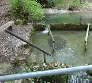 Lichtenstein, Reißenbachquelle