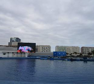 Aquarium / Oceanongrafic