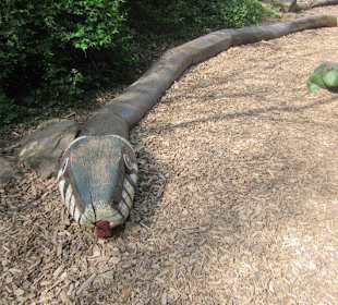 Zoo Heidelberg