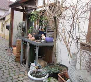 Historischer Ortskern Freinsheim