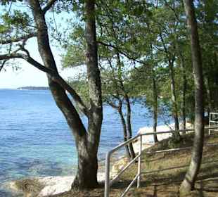 Zelena Laguna