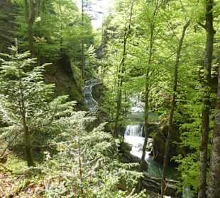Suttengebiet