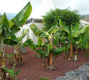 Die Pyramiden von Güimar