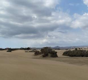 Dünen von Maspalomas