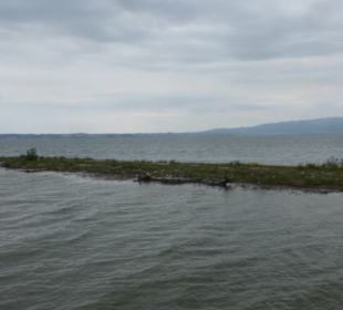 Mündungsgebiet vom Alten Rhein in den Bodensee