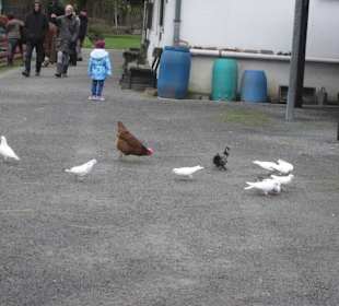 Tierpark Bad Schönborn