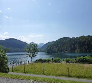 Alpsee in Hohenschwangau