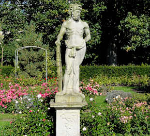 Spaziergang durch das Rosarium des Stadtgartens