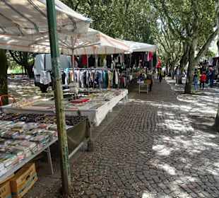 Rundgang über den Wochenmarkt von Tempio Pausania
