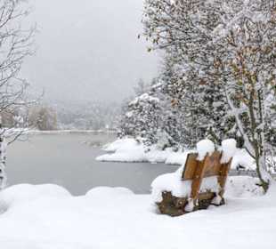 Schneefall im November am Seefelder Wildsee