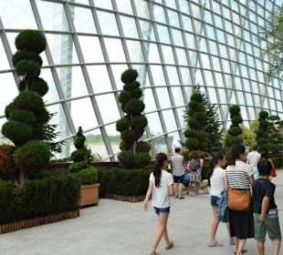 Gardens by the Bay