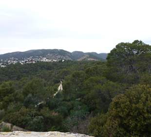 Blick vom Castell de Bellver