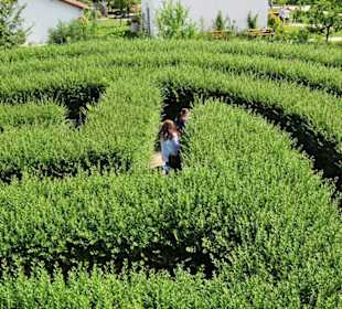 Irrgarten