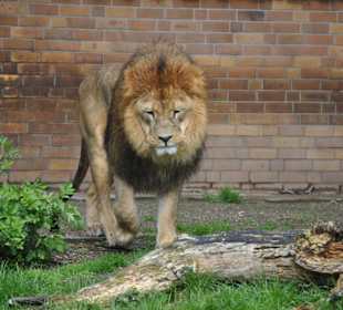 Zoo Dortmund