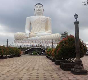 Der große Buddha von außen
