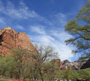 Im Zion Nationalpark