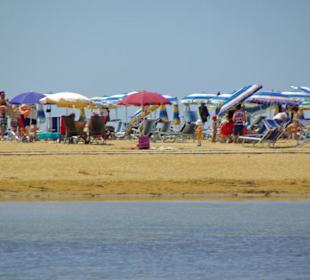 Strand von Bibione 06-2010