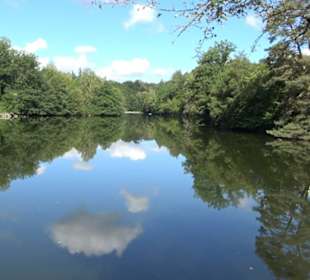 Neuer See
