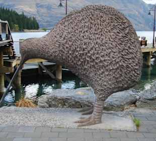 Птица киви.