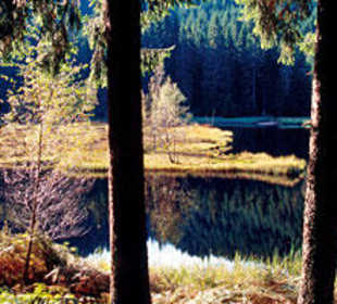 Wildsee im Schwarzwald