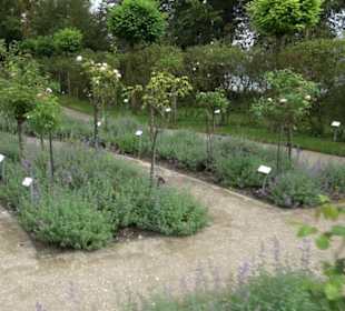 Rosengarten auf der Roseninsel