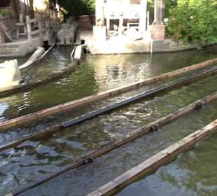 Erlebnispark Tripsdrill