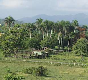 Ausblick während der Fahrt