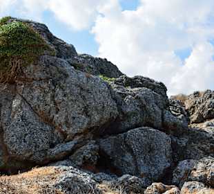 Ein paar Inspirationen von unserer Strandwanderung
