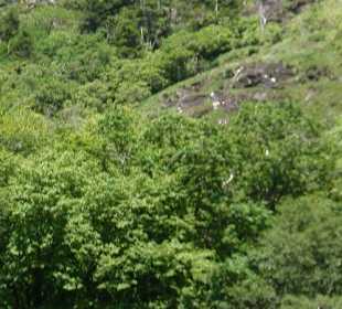 Jesus auf dem Berg