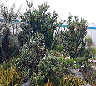 Kaktusgarten - Raucherzone