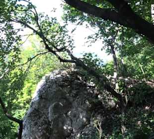 Premiumwanderweg "hochgelegen"