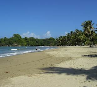 Tropical Jeep Safari