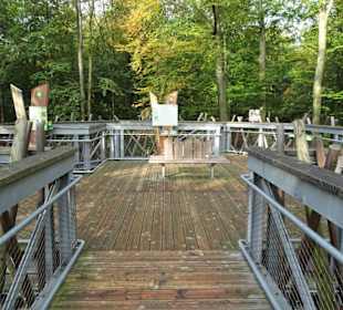 Impressionen vom Baumwipfelpfad Bad Iburg