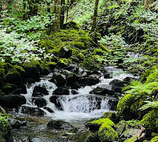 Wandern Simonswald